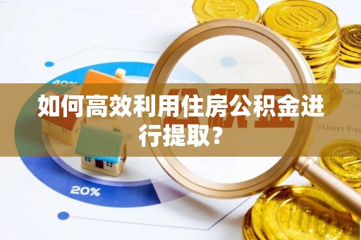 隆德如何高效利用住房公积金进行提取？