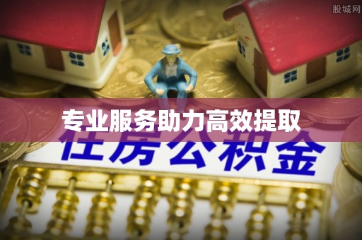 隆德专业服务助力高效提取
