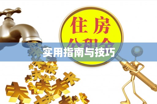 隆德实用指南与技巧