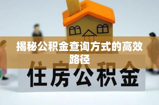 隆德揭秘公积金查询方式的高效路径